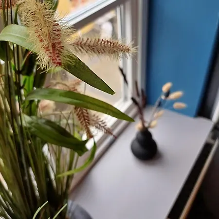 Hotel Cozy Double 3 On Pedestrian Street 3*